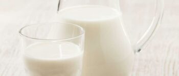 Types of Milk Explained