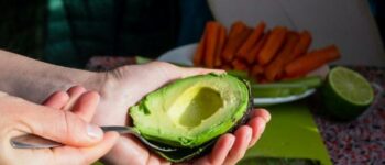 Is Avocado a Nut or Tree Fruit? Discover the Truth!