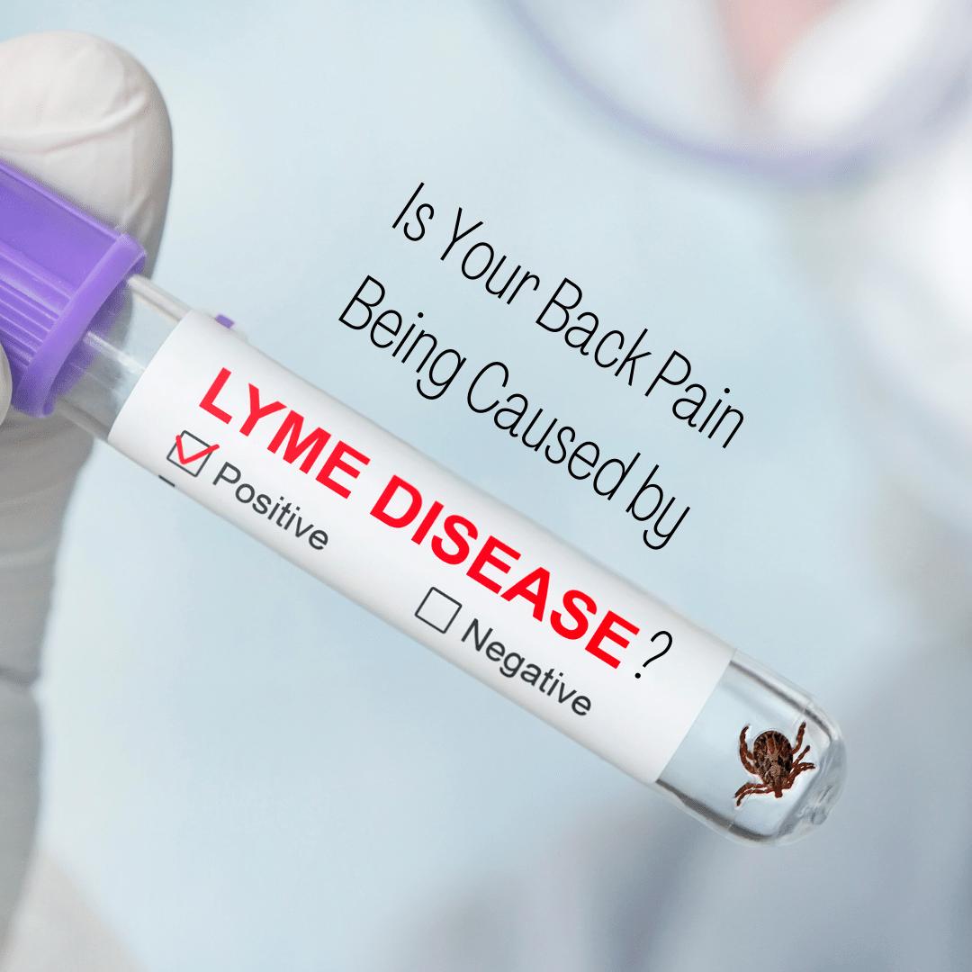 back pain and lyme disease