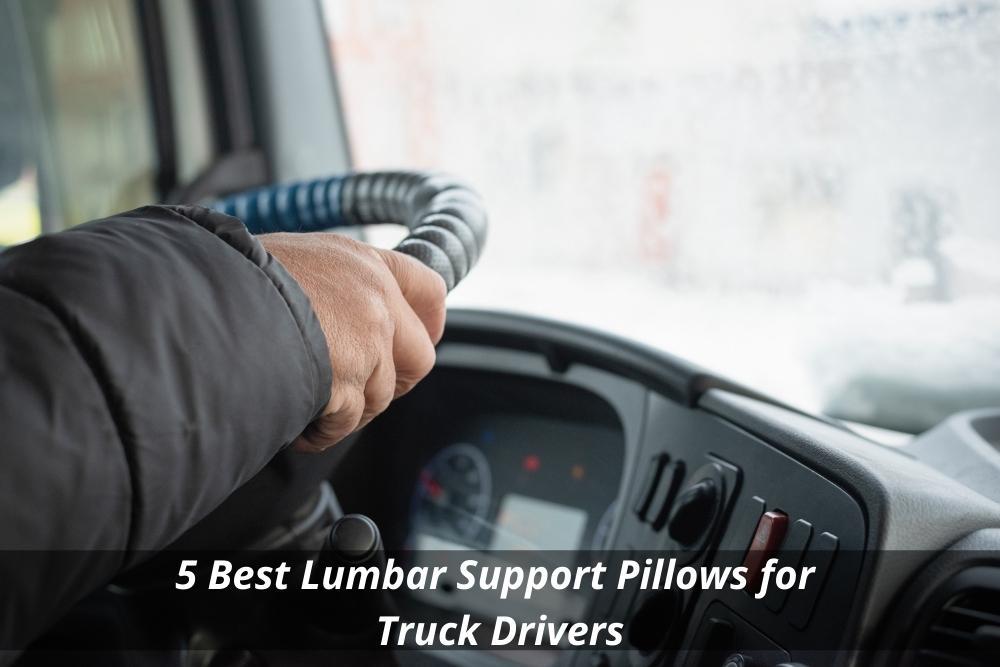 best back support for truck drivers