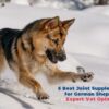 5 Best Joint Supplements for German Shepherds - Expert Vet Opinion