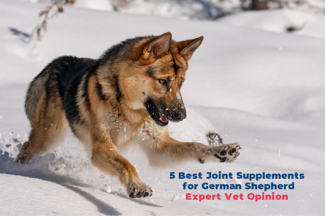 best joint supplement for german shepherd