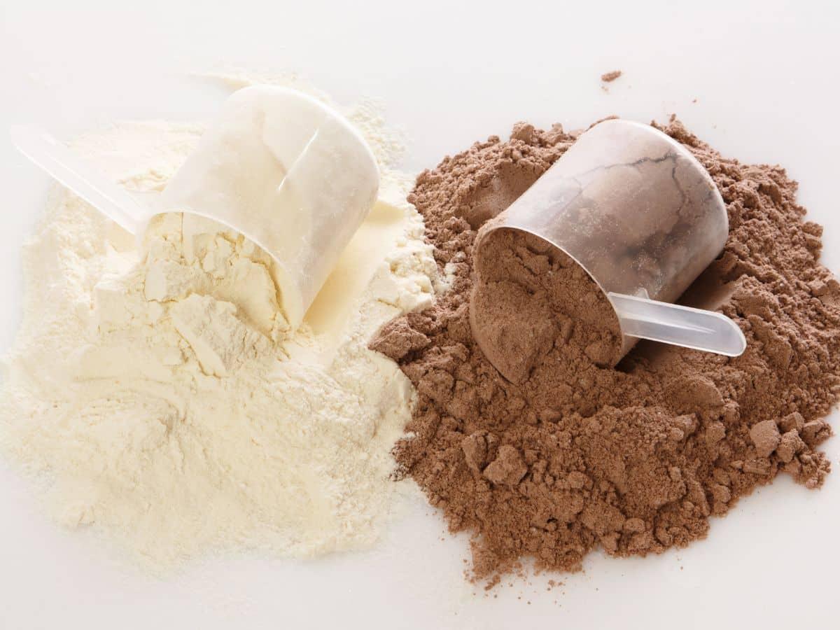 best protein powders for pcos