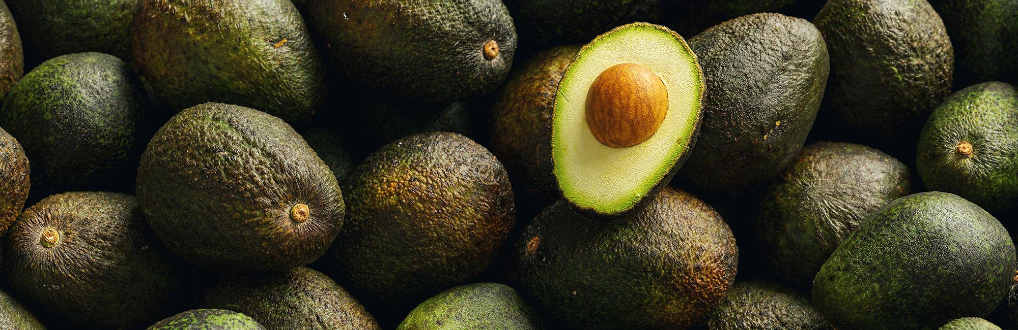 bulk avocado oil for cooking