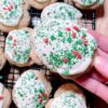 Frosted Sugar Cookies