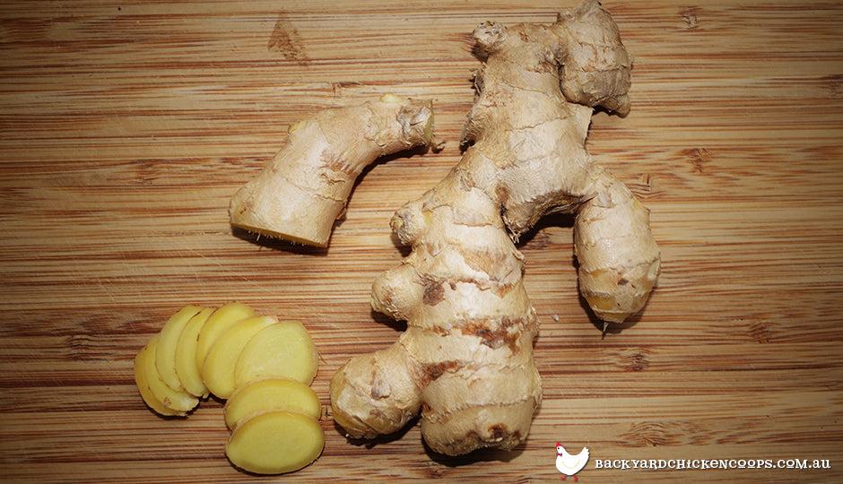 Ginger root sliced up