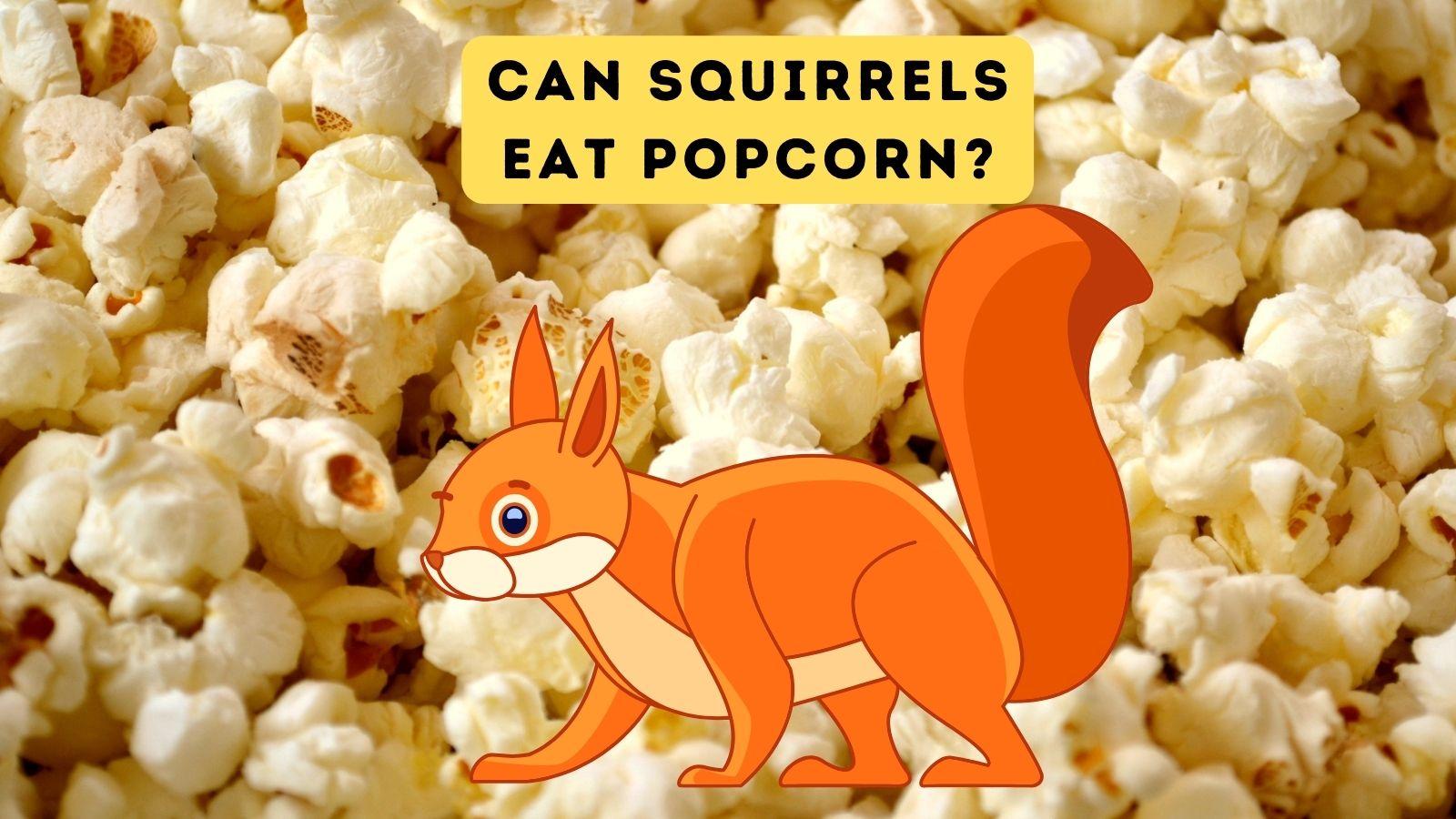 can squirrels eat buttered popcorn