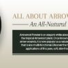 ALL ABOUT ARROWROOT POWDER: AN ALL-NATURAL TALC SUBSTITUTE