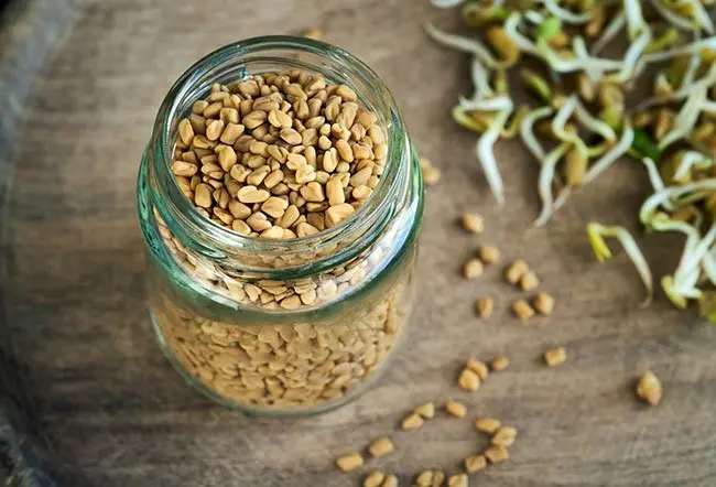 does fenugreek help with fertility