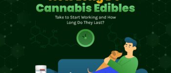 How Long Do Cannabis Edibles Take to Start Working and How Long Do They Last?