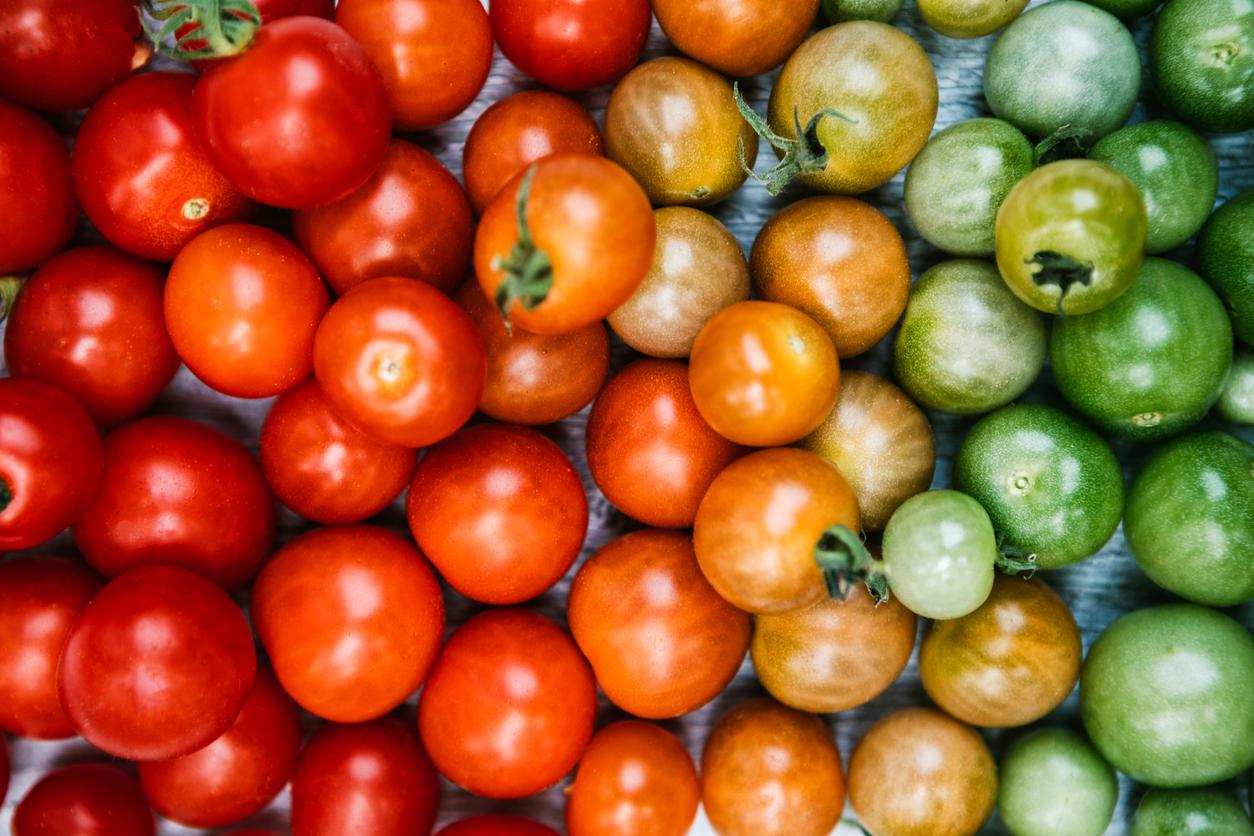 how to remove solanine from tomatoes