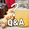 Ginger Bug & Ginger Ale FAQs | Your Questions on Fermented Drinks!