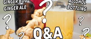 Ginger Bug & Ginger Ale FAQs | Your Questions on Fermented Drinks!