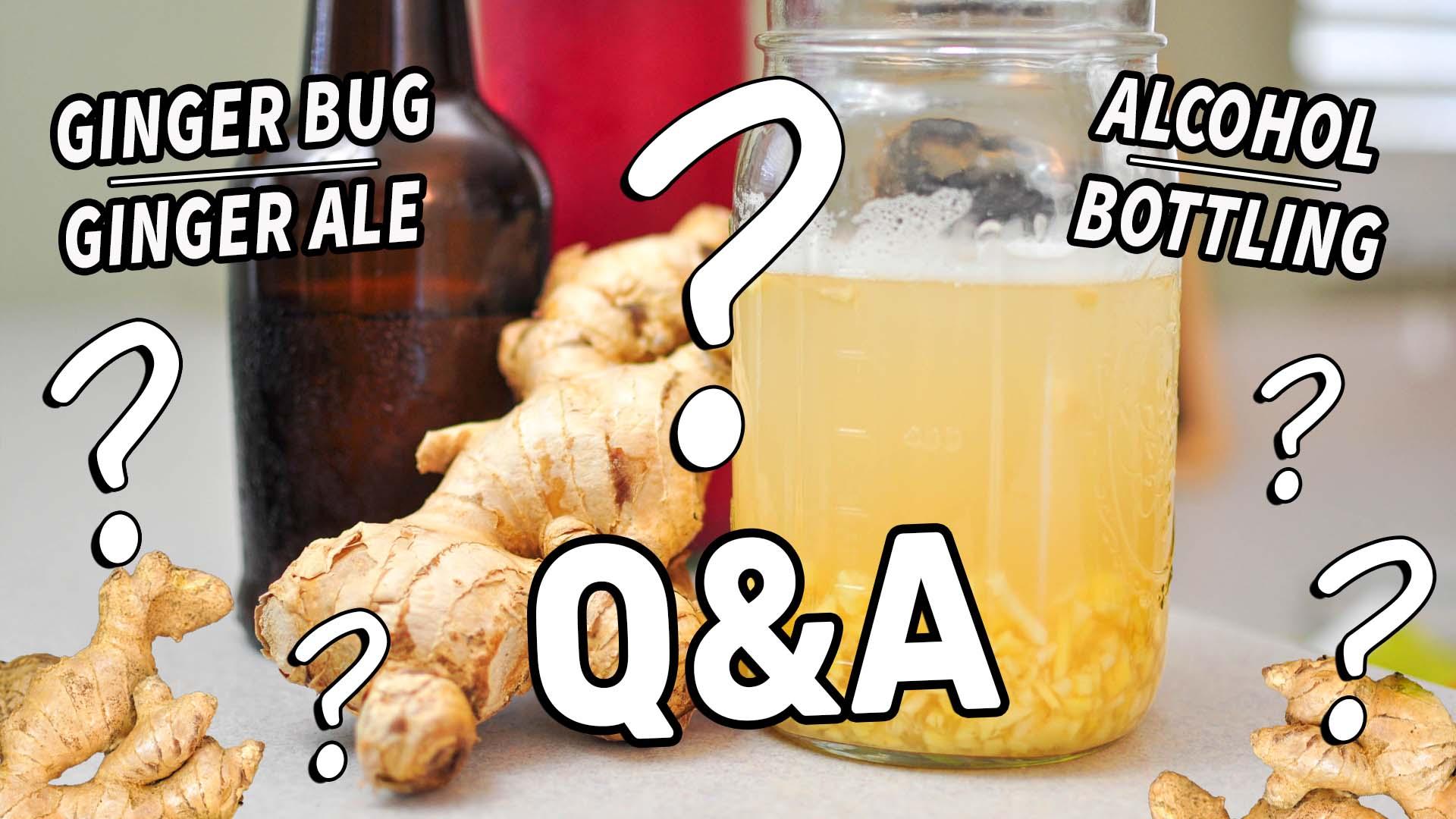 how to tell if ginger beer is bad