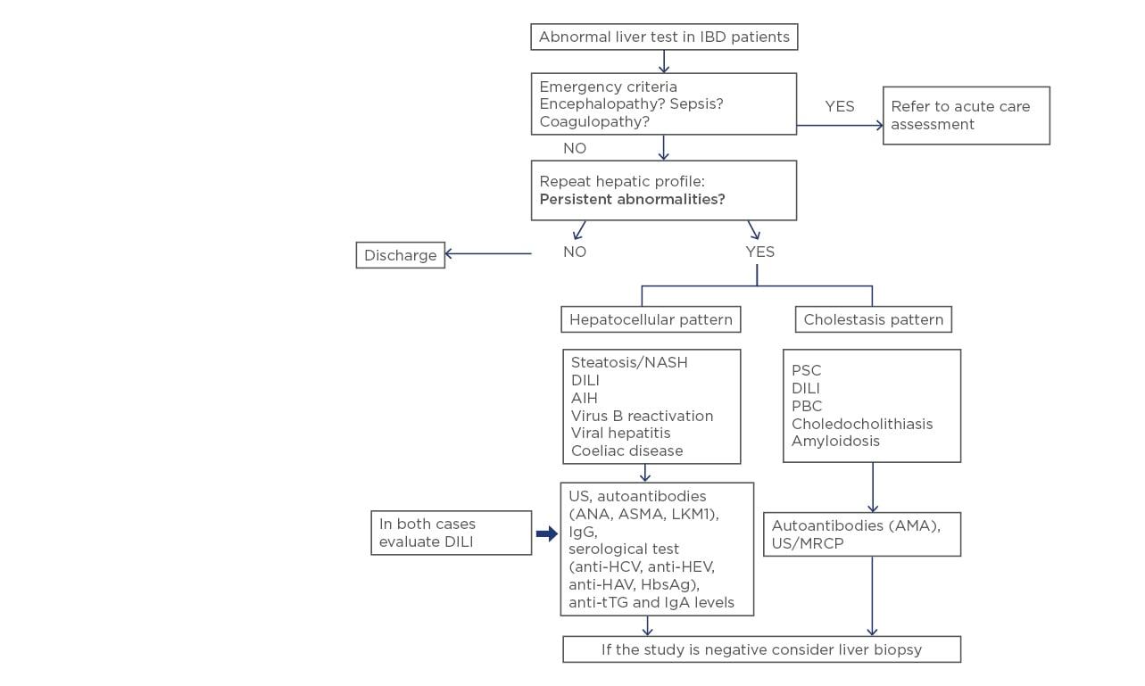 inflammatory bowel disease and elevated liver enzymes