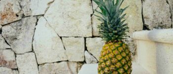 Is pineapple low FODMAP?