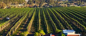 9 Reasons Why Fallbrook San Diego is a Great Place to Live in 2024 | 2025