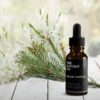 The benefits of Tea Tree oil for beard growth