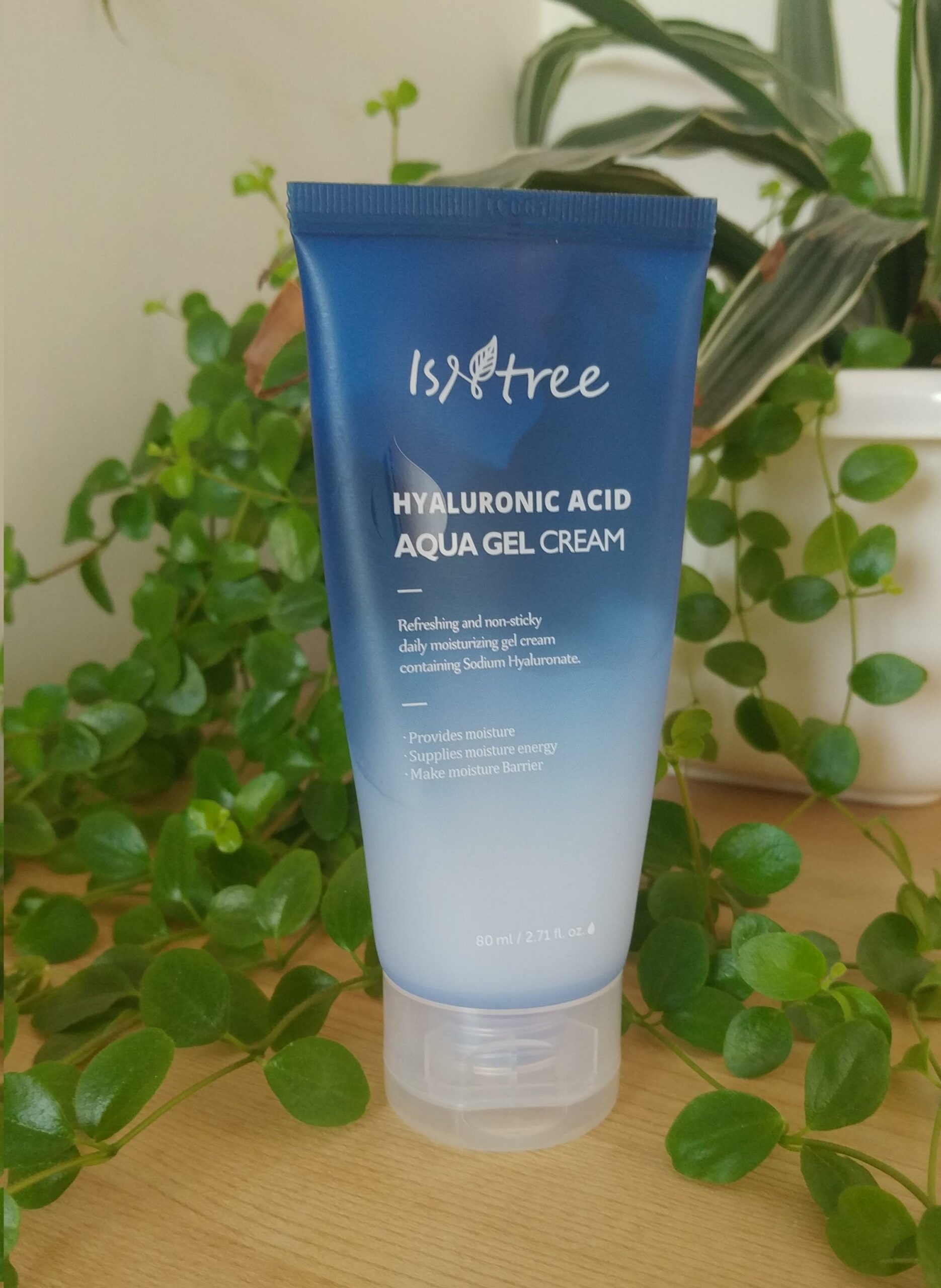 K-BEAUTY REVIEW: Isntree – Hyaluronic Acid Aqua Gel Cream