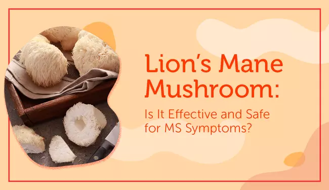 lion's mane mushroom benefits for ms