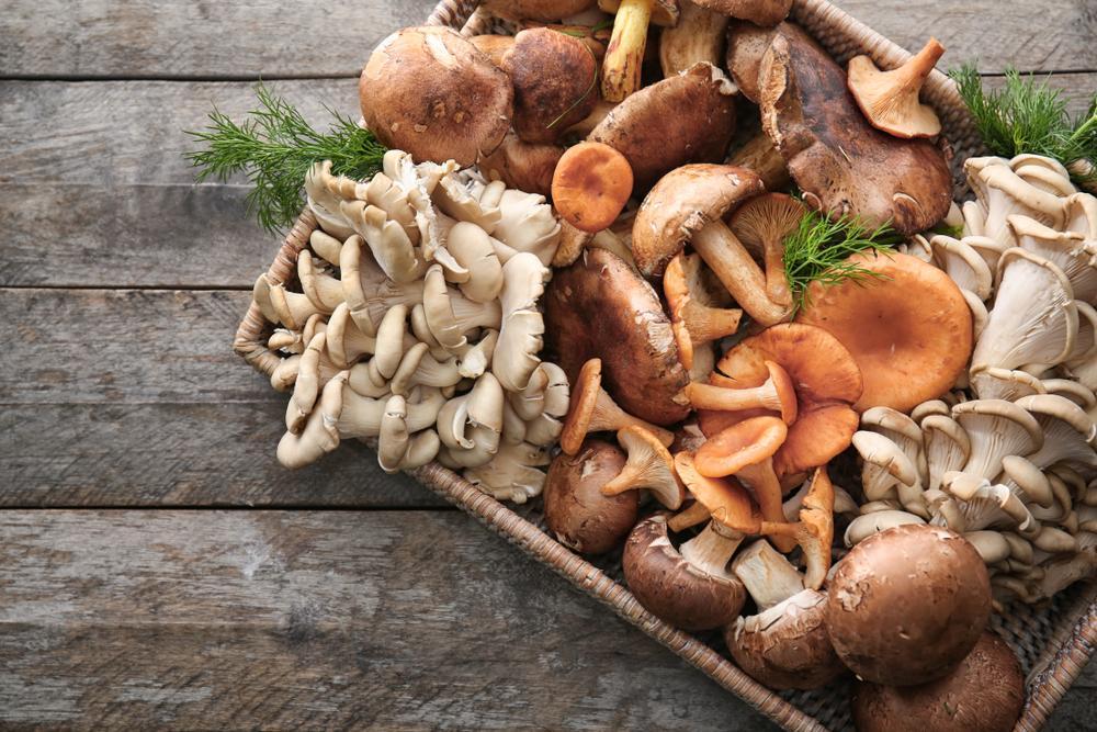 mushrooms to avoid while breastfeeding