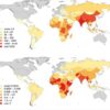 How does the pet hospital help fight rabies?