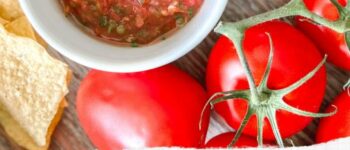 Allium Free Salsa | No Onion or Garlic