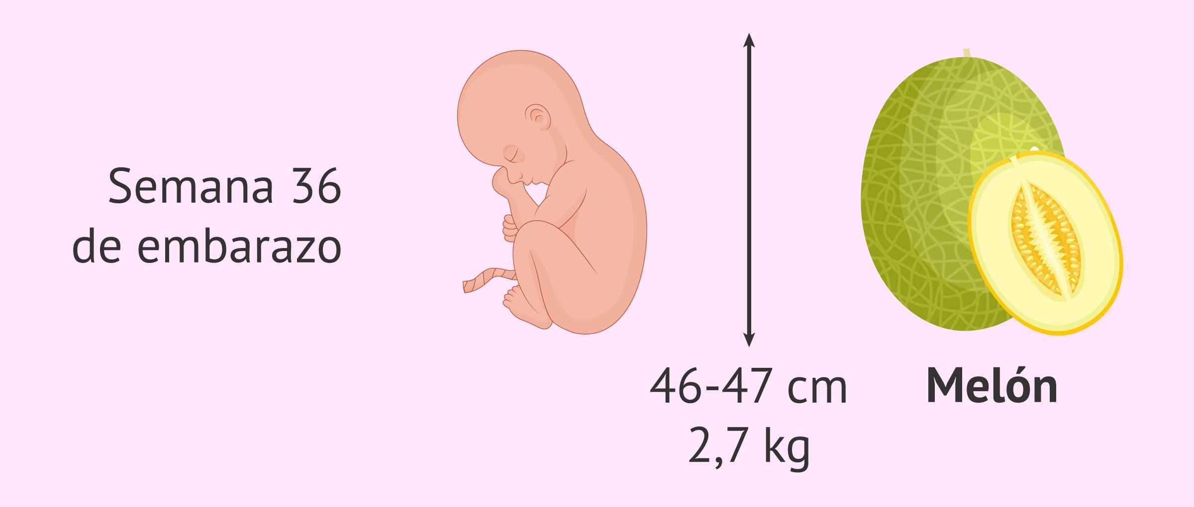 semana 36 de embarazo dolor tipo menstrual