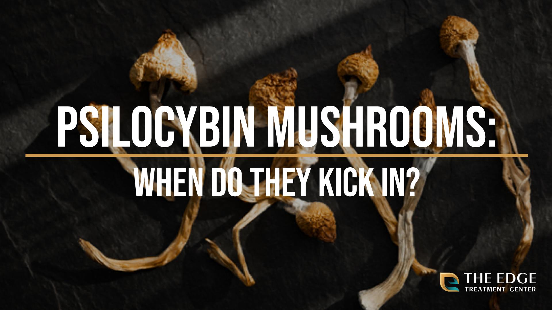 should you eat mushrooms on an empty stomach