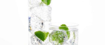 6 Best Club Soda Substitute Ideas for Various Dishes and Beverages