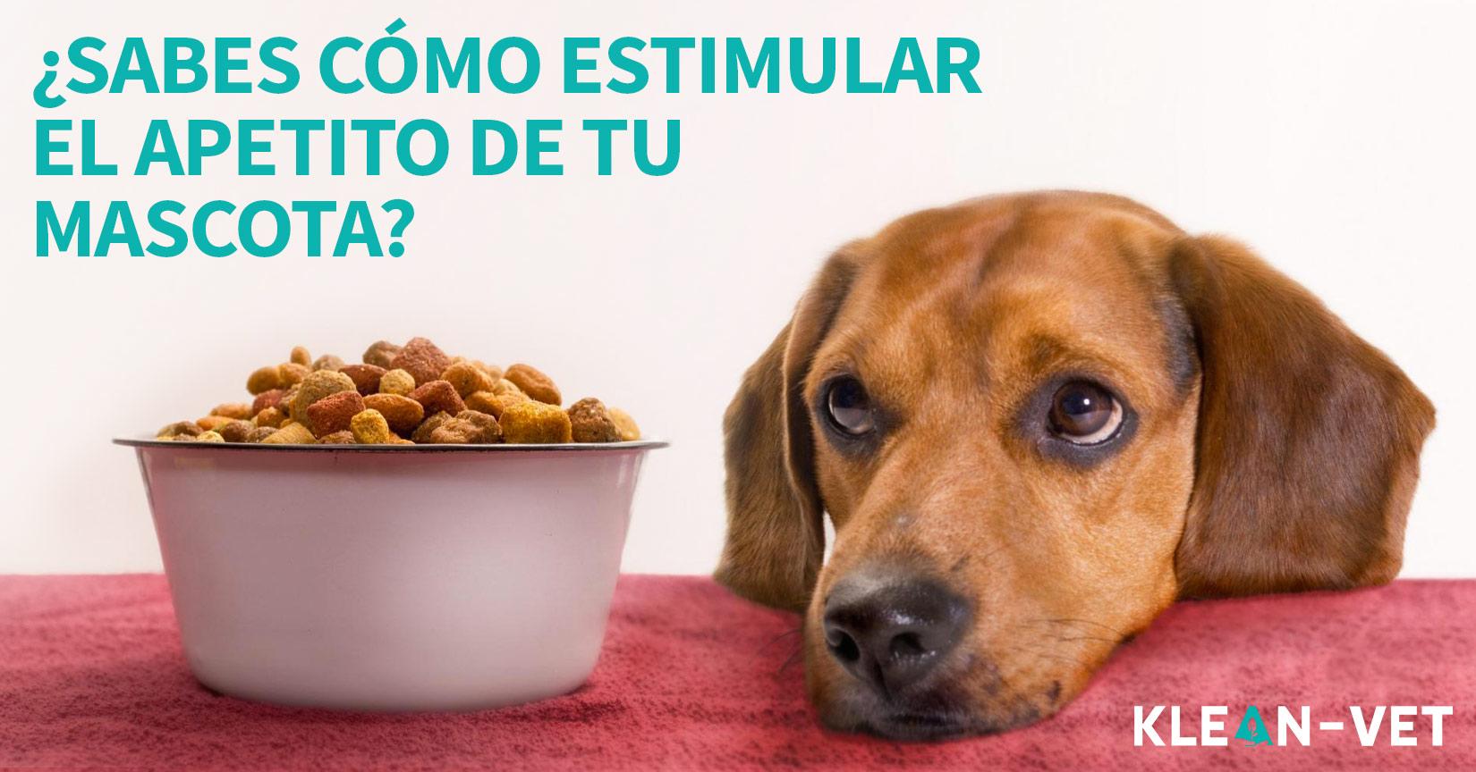 vitaminas para mi perro que no quiere comer