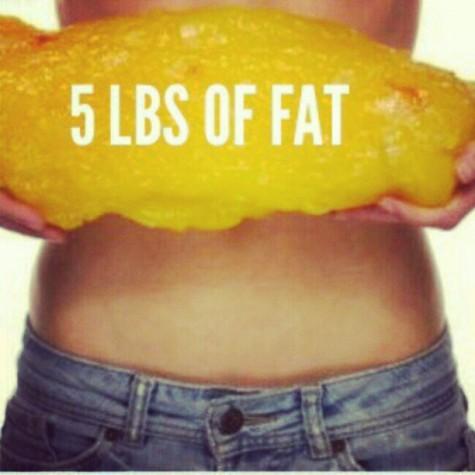 what 5 lbs of fat looks like