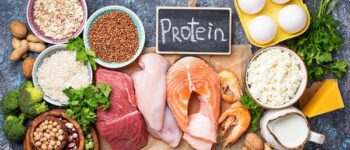 What are some common protein myths?