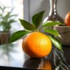 Is Mandarin Orange Keto-Friendly?