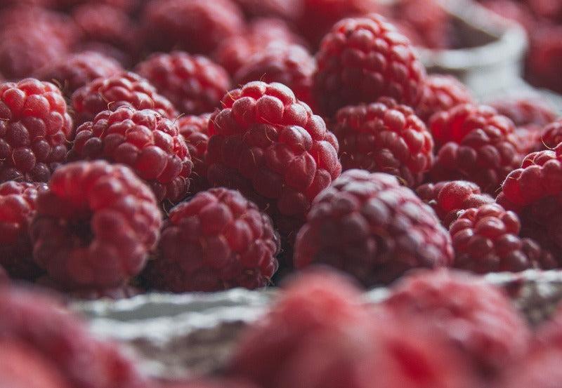 are raspberries good for bearded dragons