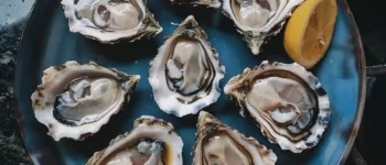 Are Oysters Keto-Friendly?