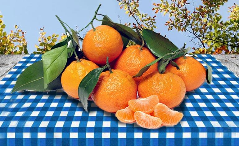 are satsumas good for you