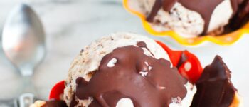 Jeni’s Splendid Ice Cream: Banana Ice Cream with Chocolate Speckles