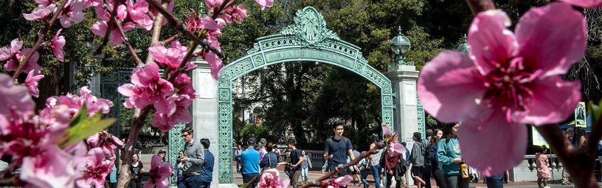 berkeley m.e.t. acceptance rate