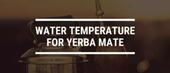 What’s the Best Water Temperature for Yerba Mate?