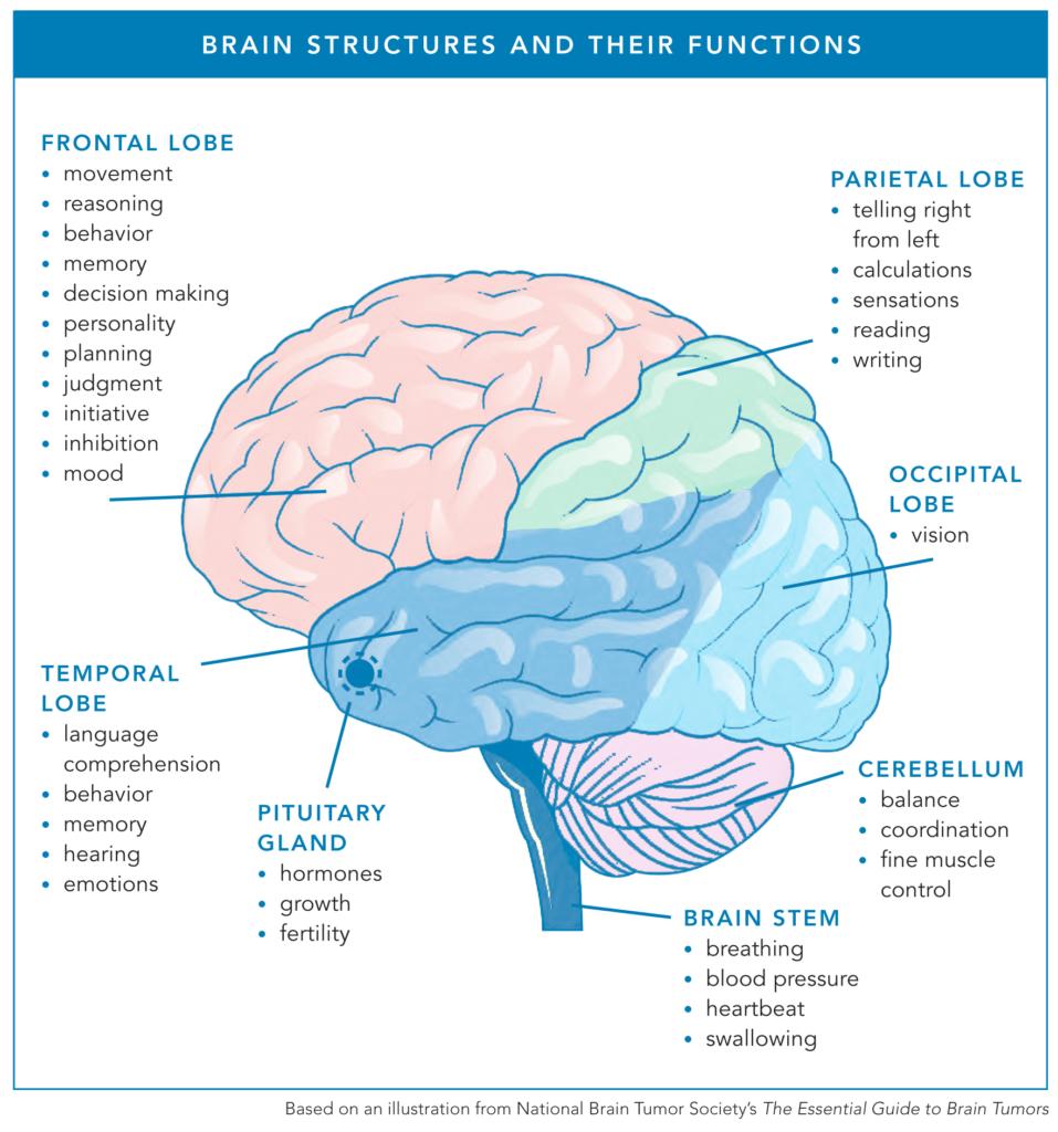 brain feels cold on one side