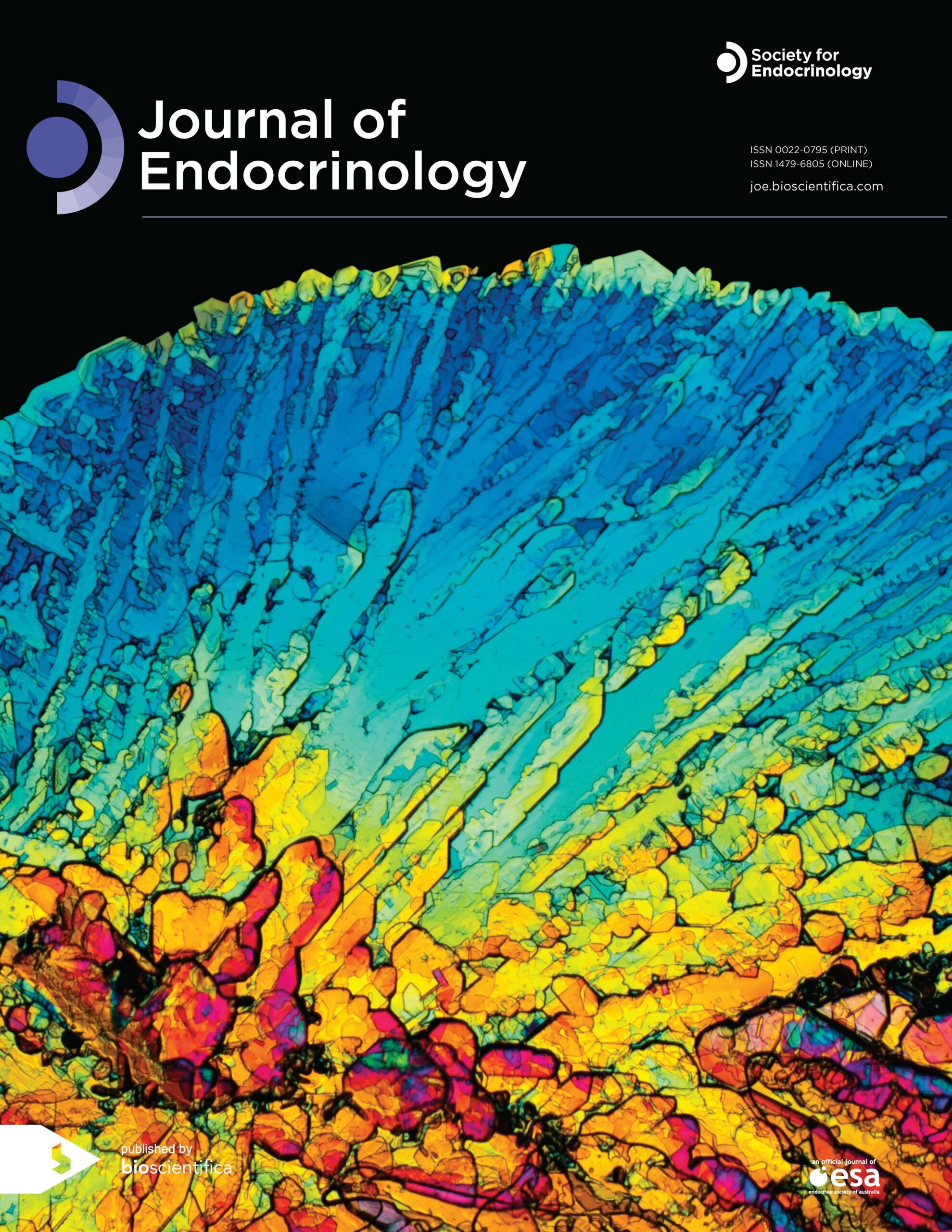 Characterization of small-molecule inhibitors of the sodium iodide symporter