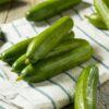 What are Persian Cucumbers and How are they Different?