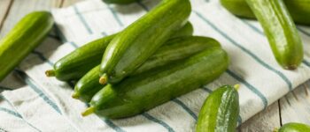 What are Persian Cucumbers and How are they Different?