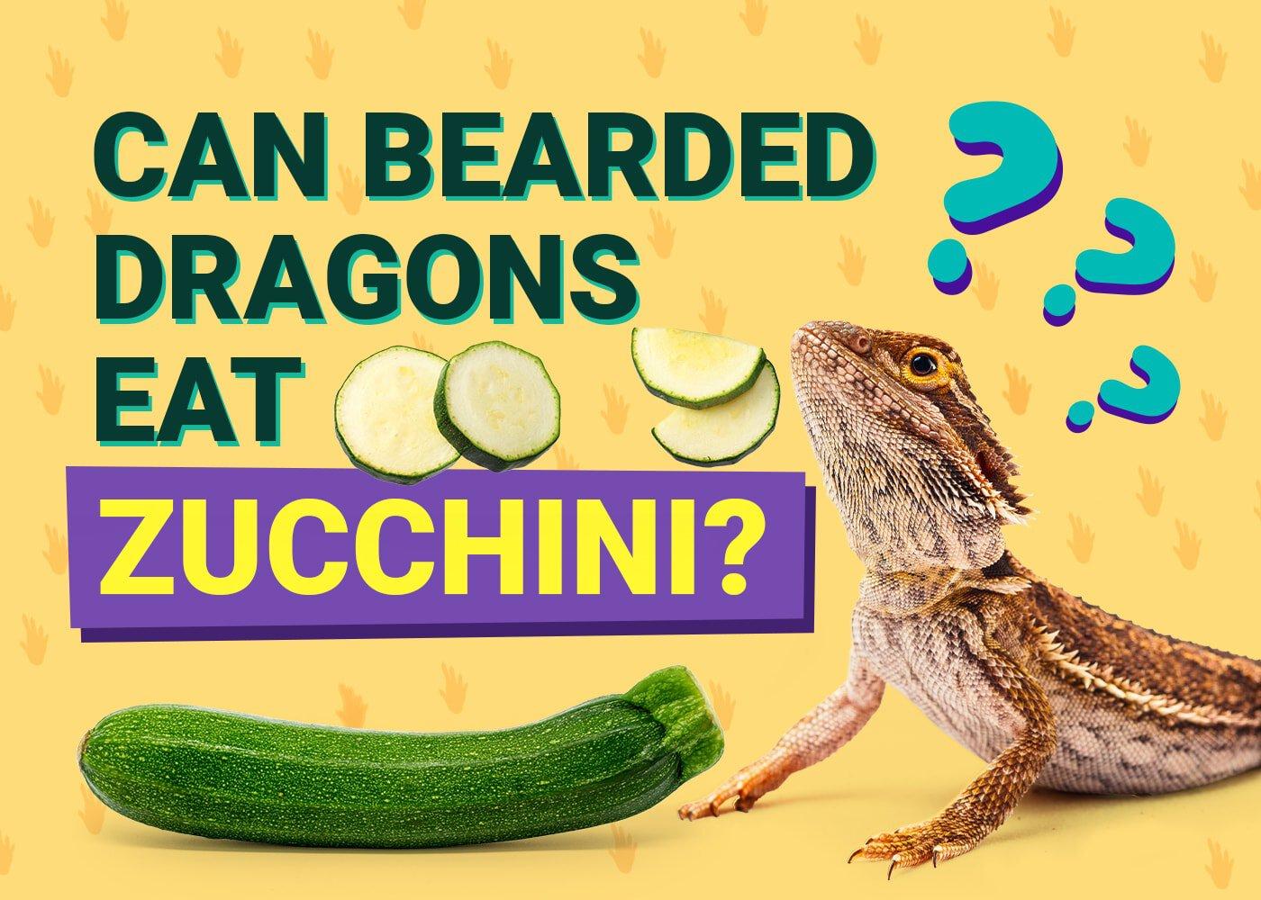 can bearded dragons eat zucchini squash