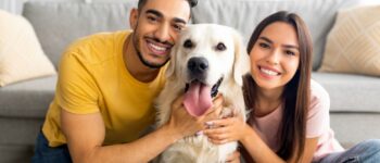 7 Best Dog Breeds for Apartment Living