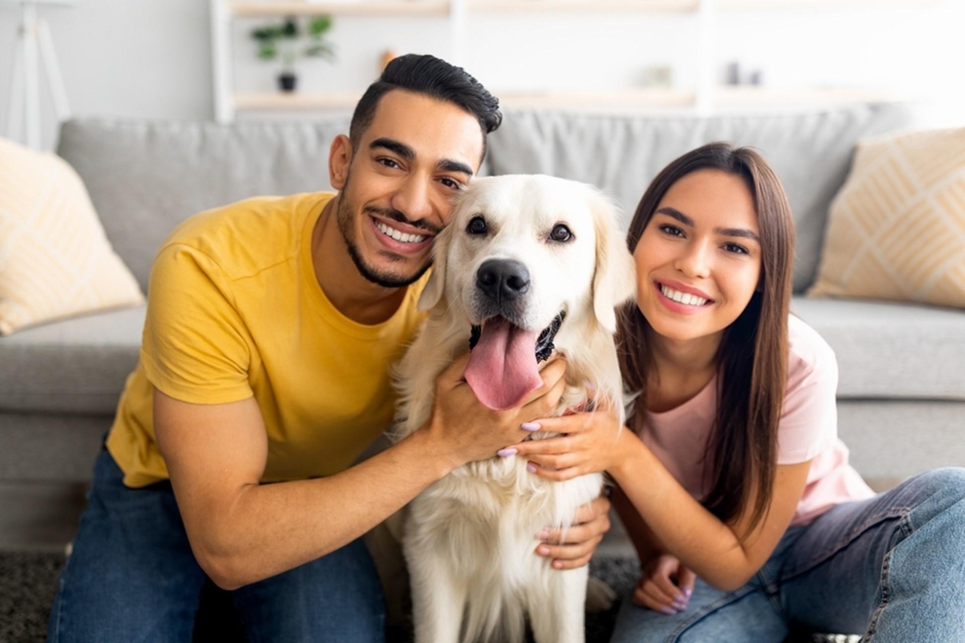 can labradors live in apartments