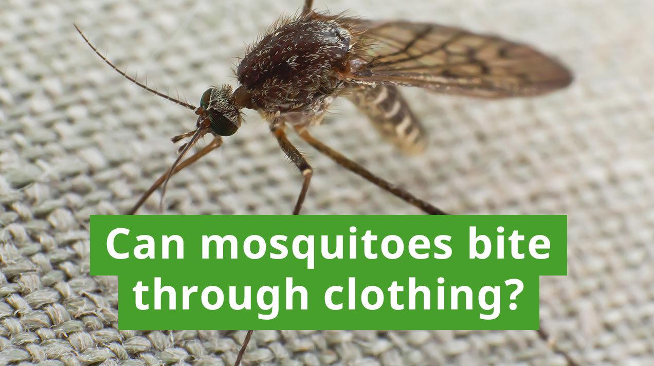 can mosquitoes bite through blankets