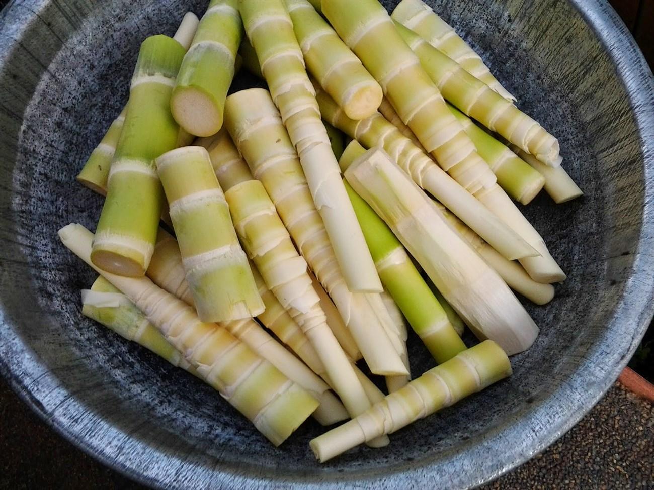 can pregnant women eat bamboo shoot