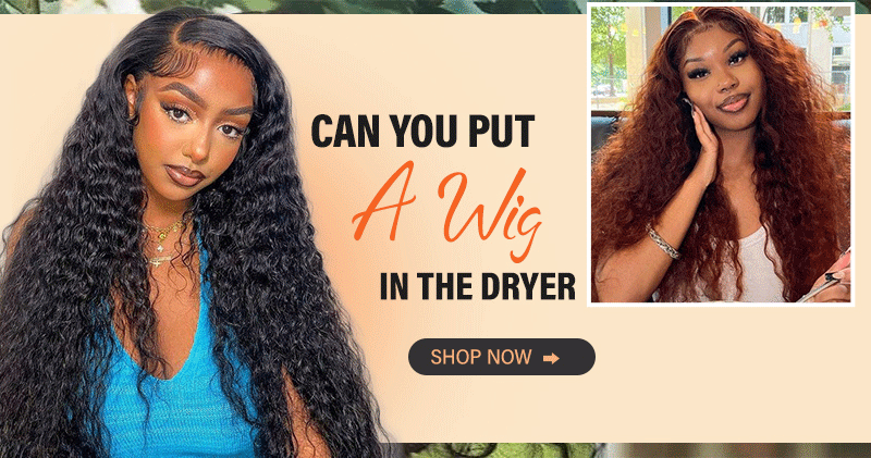 can you dry a wig in the dryer